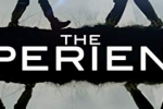 experience - banner - cropped